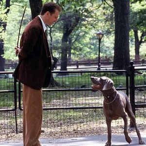 Fotoğraf Aşk Masalı