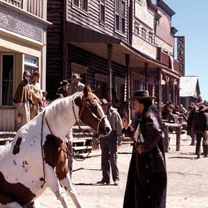 Fotoğraf Şangay Şövalyeleri