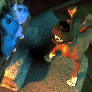 Fotoğraf Sihirli Orman