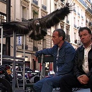 Fotoğraf Laurent Baffie