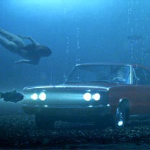 Fotoğraf Büyük Balık