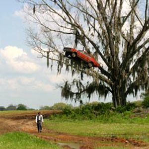 Fotoğraf Büyük Balık