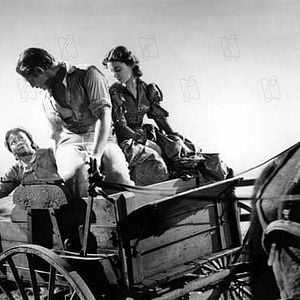 Fotoğraf Rüzgar Gibi Geçti