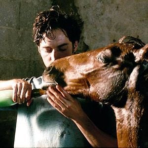 Fotoğraf Mathieu Demy