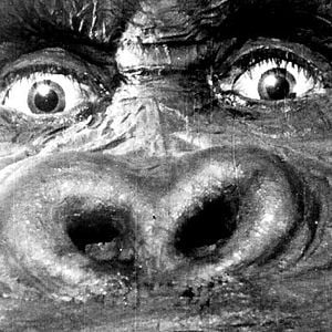 Fotoğraf Merian C. Cooper