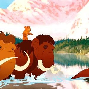 Fotoğraf Ayı Kardeş