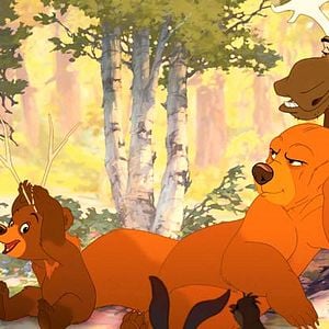 Fotoğraf Ayı Kardeş