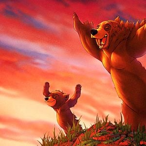 Fotoğraf Ayı Kardeş