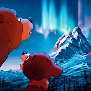 Fotoğraf Ayı Kardeş