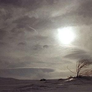 Fotoğraf Votka Limon