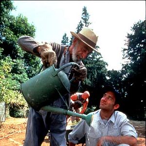 Fotoğraf David Kelly