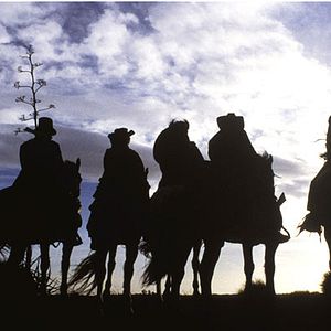 Fotoğraf 800 Damla Yaş