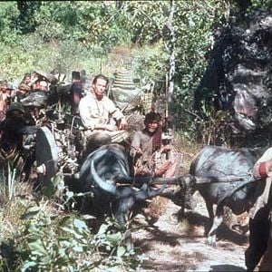 Fotoğraf Two Brothers