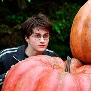 Fotoğraf Daniel Radcliffe