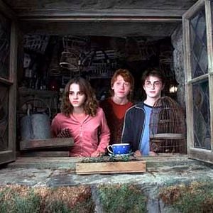 Fotoğraf Daniel Radcliffe