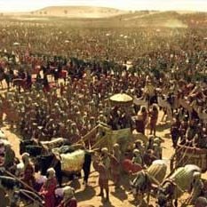 Fotoğraf Oliver Stone