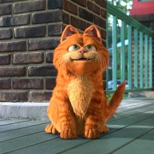 Fotoğraf Garfield