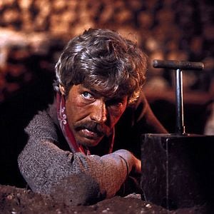 Fotoğraf Yabandan Gelen Adam