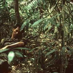 Fotoğraf Apichatpong Weerasethakul