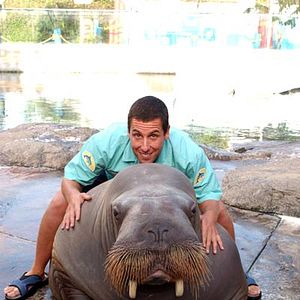 Fotoğraf 50 İlk Öpücük