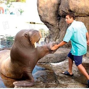 Fotoğraf Peter Segal