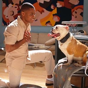 Fotoğraf Çılgınlar Gemisi