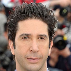 Fotoğraf David Schwimmer