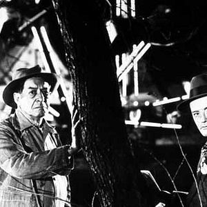 Fotoğraf Trendeki Yabancı