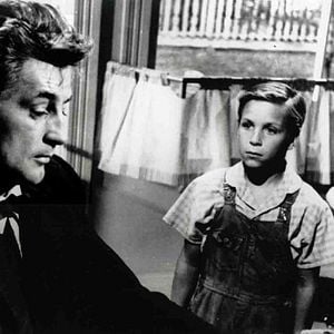 Fotoğraf Caniler Avcısı