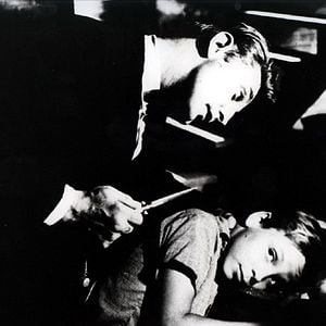 Fotoğraf Caniler Avcısı