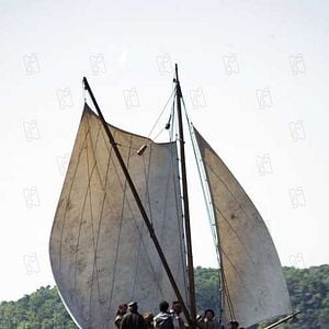 Fotoğraf Terrence Malick