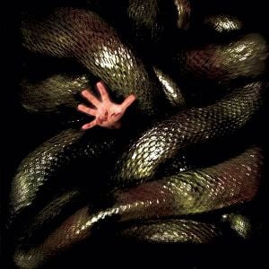 Fotoğraf Anaconda 2: Lanetli Orkidenin Peşinde