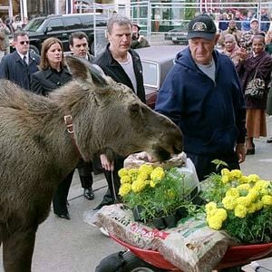 Fotoğraf Donald Petrie
