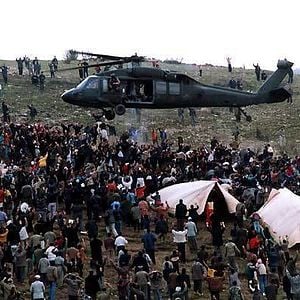 Fotoğraf Kaplumbağalar da Uçar