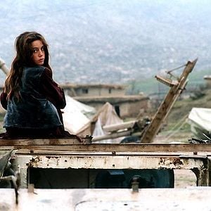 Fotoğraf Kaplumbağalar da Uçar