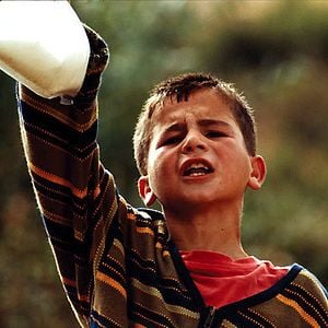 Fotoğraf Kaplumbağalar da Uçar