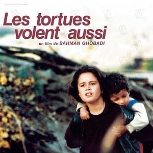 Fotoğraf Kaplumbağalar da Uçar