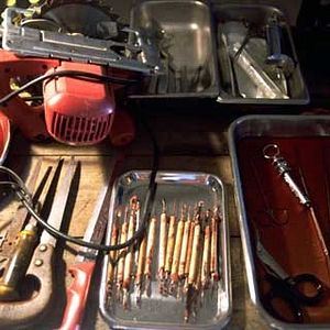 Fotoğraf Geoffrey Sax