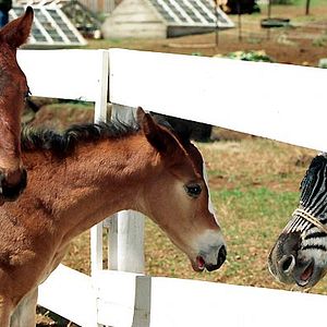 Fotoğraf Frederik Du Chau
