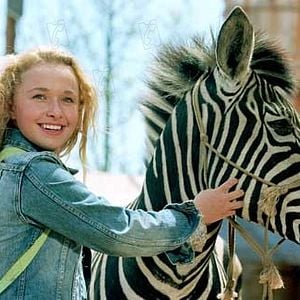 Fotoğraf Hayden Panettiere