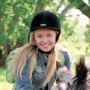 Fotoğraf Racing Stripes