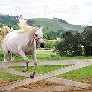 Fotoğraf Frederik Du Chau