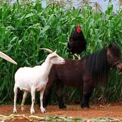 Fotoğraf Frederik Du Chau