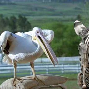 Fotoğraf Frederik Du Chau