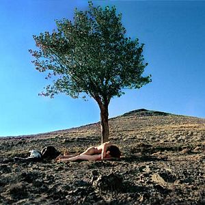 Fotoğraf Mitra Farahani