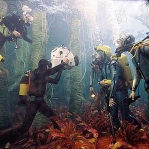 Fotoğraf Suda Yaşam