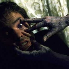 Fotoğraf Stephen T. Kay