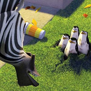 Fotoğraf Madagaskar