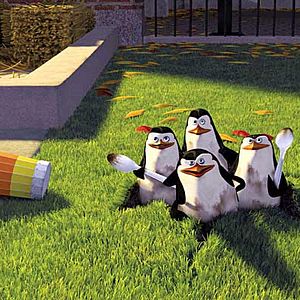 Fotoğraf Madagaskar