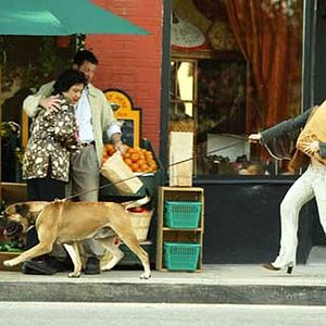 Fotoğraf Little Black Book